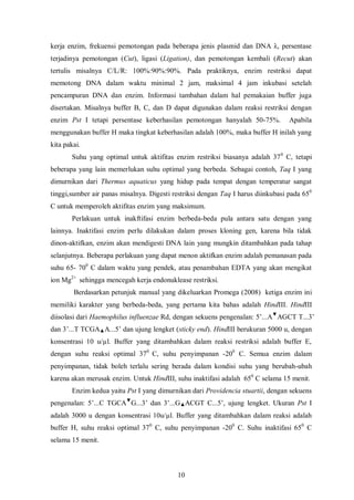 = K1 (plasmid pUC hasil isolasi)