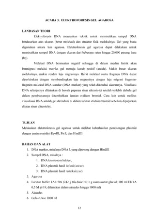 Transformasi pada praktikum ini dilakukan dengan tujuan menyisipkan plasmid ke dalam sel. Praktikum  ini menggunakan sel E. coli sebagai sel kompeten. Sel tersebut kemudian digunakan untuk transformasi yaitu disisipkannya plasmid ke dalam sel tersebut. Sel yang telah ditransformasi disebut transforman. Hasil yang diperoleh dari praktikum transformasi ini adalah koloni E. coli dalam cawan.