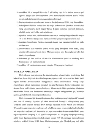E. coli transforman dapat tumbuh di kedua media. Hal ini sesuai dengan teori yang ada. Sel tersebut mampu tumbuh pada media dengan ampisilin karena di dalam selnya terdapat plasmid. Keberadaan plasmid di dalam sel E. coli membuat sel tersebut resisten terhadap antibiotik ampisilin (Lodish et al.).