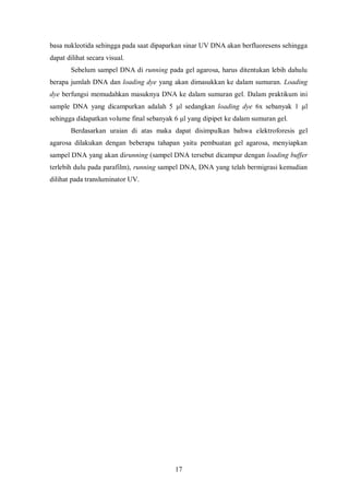 Jenis SelJumlah koloni pada mediaMedia + ampisilinMedia tanpa ampisilinE.coli transformasi40TBUDE.coli non transformasi-TBUD