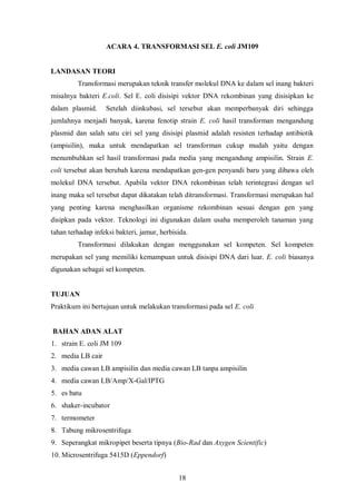Sel non transformasi merupakan sel yang tidak disisipi plasmid sehingga tidak dapat tumbuh pada media dengan ampisilin (Lodish et al.). Hasil praktikum menunjukkan bahwa sel nontransformasi tidak tumbuh pada media dengan ampisilin.