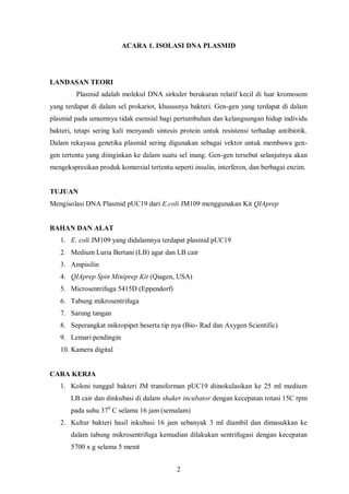 = K1 (plasmid pUC dipotong HindIII)