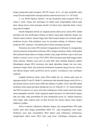 = K4 (plasmid pUC dipotong EcoRI)