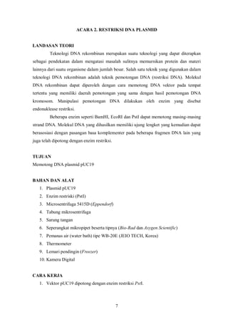 = A2 (plasmid pUC dipotong Pst I)