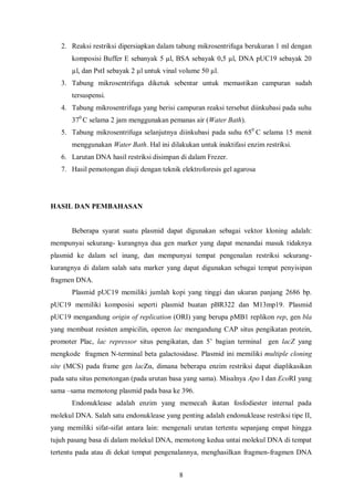 = A3 (plasmid pUC dipotong HindIII)