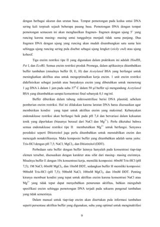 = A4 (plasmid pUC yang tidak dipotong)