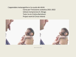 L’apprendere metacognitivo e la scuola dei diritti
Corso per l’inclusione scolastica 2021-2022
Istituto Comprensivo D. Birago
Tutor ins.te Cristina Bartolucci
Project-work di Cinzia Velonà
Mario Paolini2014
 