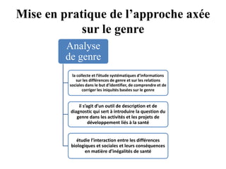 Mise en pratique de l’approche axée
sur le genre
Analyse
de genre
la collecte et l’étude systématiques d’informations
sur les différences de genre et sur les relations
sociales dans le but d’identifier, de comprendre et de
corriger les iniquités basées sur le genre
il s’agit d’un outil de description et de
diagnostic qui sert à introduire la question du
genre dans les activités et les projets de
développement liés à la santé
étudie l’interaction entre les différences
biologiques et sociales et leurs conséquences
en matière d’inégalités de santé