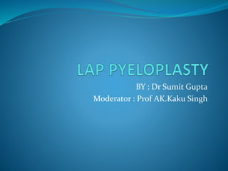 BY : Dr Sumit Gupta
Moderator : Prof AK.Kaku Singh
 