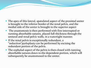  The apex of this lateral, spatulated aspect of the proximal ureter
is brought to the inferior border of the renal pelvis, and the
medial side of the ureter is brought to the superior aspect
 The anastomosis is then performed with fine interrupted or
running absorbable sutures, placed full thickness through the
ureteral and renal pelvic walls, in a watertight manner.
 If the renal pelvis is exceptionally redundant, a
“reduction”pyeloplasty can be performed by excising the
redundant portion of the pelvis.
 The cephalad aspect of the pelvis is then closed with running
absorbable sutures down to the dependent portion, which will
subsequently be anastomosed to the ureter.
 