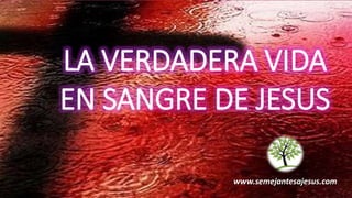 LA VERDADERA VIDA
EN SANGRE DE JESUS
www.semejantesajesus.com
 