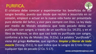 PURIFICA.
El cristiano debe conocer y experimentar los beneficios de esa
sangre bendita, puesto que desde que recibió a Jesucristo en su
corazón, empiezó a actuar en la nueva vida hasta ser presentada
puro delante del Señor, y vivir para siempre con Dios. La ley dada
por medio de Moisés establecía que todo pecado debía ser
purificado con sangre, a través de un sacrificio (Lv. 14:25), y en el
libro de Hebreos, se dice que casi todo es purificado con sangre,
conforme a la ley de Moisés (He. 9:22a). La palabra ”purificado”,
viene del griego Katharizo, que significa: limpiar y liberar de toda
mezcla (Strong 2511), lo que indica que la sangre de Cristo limpia
cualquier tipo de pecado (2 Co. 5:17).
www.semejantesajesus.com
 