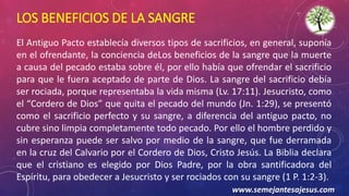 LOS BENEFICIOS DE LA SANGRE
El Antiguo Pacto establecía diversos tipos de sacrificios, en general, suponía
en el ofrendante, la conciencia deLos beneficios de la sangre que la muerte
a causa del pecado estaba sobre él, por ello había que ofrendar el sacrificio
para que le fuera aceptado de parte de Dios. La sangre del sacrificio debía
ser rociada, porque representaba la vida misma (Lv. 17:11). Jesucristo, como
el “Cordero de Dios” que quita el pecado del mundo (Jn. 1:29), se presentó
como el sacrificio perfecto y su sangre, a diferencia del antiguo pacto, no
cubre sino limpia completamente todo pecado. Por ello el hombre perdido y
sin esperanza puede ser salvo por medio de la sangre, que fue derramada
en la cruz del Calvario por el Cordero de Dios, Cristo Jesús. La Biblia declara
que el cristiano es elegido por Dios Padre, por la obra santificadora del
Espíritu, para obedecer a Jesucristo y ser rociados con su sangre (1 P. 1:2-3).
www.semejantesajesus.com
 