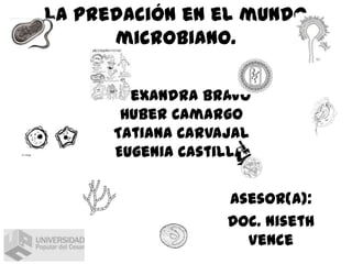La predación en el mundo
microbiano.
Alexandra bravo
Huber Camargo
Tatiana Carvajal
Eugenia Castilla.
Asesor(a):
Doc. Niseth
Vence

 