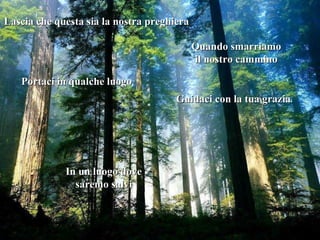 Lascia che questa sia la nostra preghiera Quando smarriamo il nostro cammino Portaci in qualche luogo Guidaci con la tua grazia . In un luogo dove saremo salvi 