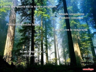 Lascia che questa sia la nostra preghiera Quando smarriamo il nostro cammino Portaci in qualche luogo Guidaci con la tua grazia . In un luogo dove saremo salvi 