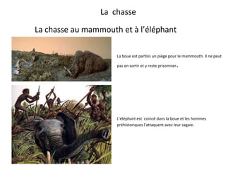 La  chasse   La  chasse au mammouth  et à  l’éléphant  La boue est parfois un piège pour le mammouth. Il ne peut pas en sortir et y reste prisonnier .  L'éléphant est   coincé dans la boue et les hommes préhistoriques l'attaquent avec leur sagaie. 