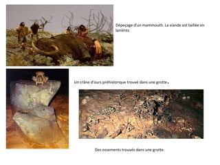 Dépeçage d'un mammouth. La viande est taillée en lanières  Un crâne d'ours préhistorique trouvé dans une grotte .  Des ossements trouvés dans une grotte. 