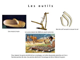 L  e  s  o  u  t  i  l  s Une meule à main Un araire datant de 2000 ans avant notre ère Bois de cerf servant à creuser le sol Pour séparer les grains de blé de leur enveloppe, on traîne de grandes planches où l'on a fixé des pointes de silex. Ces pointes déchirent l'enveloppe du blé et libèrent le grain .  