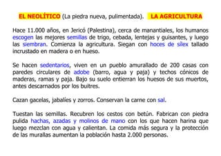 EL NEOLÍTICO (La piedra nueva, pulimentada).        LA AGRICULTURA

Hace 11.000 años, en Jericó (Palestina), cerca de manantiales, los humanos
escogen las mejores semillas de trigo, cebada, lentejas y guisantes, y luego
las siembran. Comienza la agricultura. Siegan con hoces de sílex tallado
incrustado en madera o en hueso.

Se hacen sedentarios, viven en un pueblo amurallado de 200 casas con
paredes circulares de adobe (barro, agua y paja) y techos cónicos de
maderas, ramas y paja. Bajo su suelo entierran los huesos de sus muertos,
antes descarnados por los buitres.

Cazan gacelas, jabalíes y zorros. Conservan la carne con sal.

Tuestan las semillas. Recubren los cestos con betún. Fabrican con piedra
pulida hachas, azadas y molinos de mano con los que hacen harina que
luego mezclan con agua y calientan. La comida más segura y la protección
de las murallas aumentan la población hasta 2.000 personas.
 
