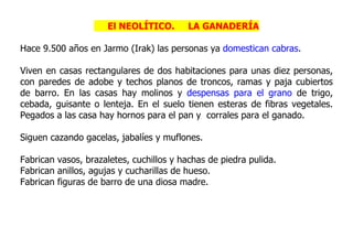 El NEOLÍTICO.       LA GANADERÍA

Hace 9.500 años en Jarmo (Irak) las personas ya domestican cabras.

Viven en casas rectangulares de dos habitaciones para unas diez personas,
con paredes de adobe y techos planos de troncos, ramas y paja cubiertos
de barro. En las casas hay molinos y despensas para el grano de trigo,
cebada, guisante o lenteja. En el suelo tienen esteras de fibras vegetales.
Pegados a las casa hay hornos para el pan y corrales para el ganado.

Siguen cazando gacelas, jabalíes y muflones.

Fabrican vasos, brazaletes, cuchillos y hachas de piedra pulida.
Fabrican anillos, agujas y cucharillas de hueso.
Fabrican figuras de barro de una diosa madre.
 