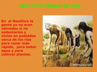 NEOLÍTICO FORMAS DE VIDA En  el Neolítico la gente ya no eran nómadas si no sedentarios y vivían en poblados cerca de los ríos para cazar más rápido,  para beber agua y para cultivar plantas. 