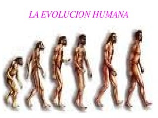 LA EVOLUCION HUMANA 