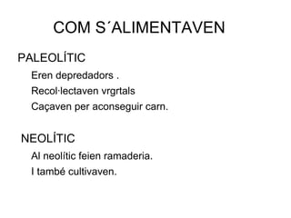 Van descobrir el foc . NEOLÍTIC Eren sedentaris. 