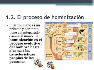1.2. El proceso de hominización
• El ser humano es un
  primate y por tanto,
  tiene un antepasado
  común al mono. La
  hominización es el
  proceso evolutivo
  del hombre hasta
  alcanzar las
  características
  propias de las
  personas.
 