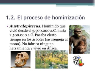 1.2. El proceso de hominización
• Australopitecus. Homínido que
  vivió desde el 3.500.000 a.C. hasta
  2.500.000 a.C. Pasaba cierto
  tiempo en los árboles (se asemeja al
  mono). No fabrica ninguna
  herramienta y vivió en África.
 