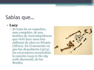 Sabías que…
• Lucy
 ▫ Se trata de un esqueleto,
   muy completo, de una
   hembra de Australopithecus
   que vivió hace unos tres
   millones de años en Etiopía
   (África). En el momento en
   que fue descubierto (1974),
   los excavadores escuchaban
   la canción Lucy in the sky
   with diamonds, de los
   Beatles.
 