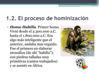 1.2. El proceso de hominización
• Homo Habilis. Primer homo.
  Vivió desde el 2.300.000 a.C.
  hasta el 1.800.000 a.C. Era
  algo más inteligente que el
  anterior, andaba mas erguido.
  Fue el primero en elaborar
  utensilios (de ahí “habilis”),
  con piedras talladas muy
  primitivas (cantos trabajados)
  y se asentó en África.
 