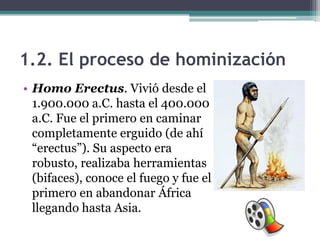 1.2. El proceso de hominización
• Homo Erectus. Vivió desde el
  1.900.000 a.C. hasta el 400.000
  a.C. Fue el primero en caminar
  completamente erguido (de ahí
  “erectus”). Su aspecto era
  robusto, realizaba herramientas
  (bifaces), conoce el fuego y fue el
  primero en abandonar África
  llegando hasta Asia.
 