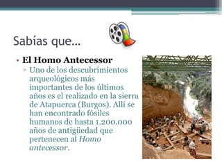 Sabías que…
• El Homo Antecessor
 ▫ Uno de los descubrimientos
   arqueológicos más
   importantes de los últimos
   años es el realizado en la sierra
   de Atapuerca (Burgos). Allí se
   han encontrado fósiles
   humanos de hasta 1.200.000
   años de antigüedad que
   pertenecen al Homo
   antecessor.
 