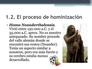 1.2. El proceso de hominización
• Homo Neanderthalensis.
  Vivió entre 150.000 a.C. y el
  35.000 a.C. aprox. No es nuestro
  antepasado. Su nombre procede
  del valle alemán donde se
  encontró sus restos (Neander).
  Tenía un aspecto similar a
  nosotros, pero era más fuerte y
  su cerebro estaba menos
  desarrollado.
 
