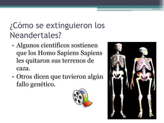 ¿Cómo se extinguieron los
Neandertales?
• Algunos científicos sostienen
  que los Homo Sapiens Sapiens
  les quitaron sus terrenos de
  caza.
• Otros dicen que tuvieron algún
  fallo genético.
 