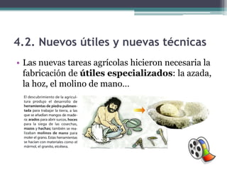 4.2. Nuevos útiles y nuevas técnicas
• Las nuevas tareas agrícolas hicieron necesaria la
  fabricación de útiles especializados: la azada,
  la hoz, el molino de mano…
 