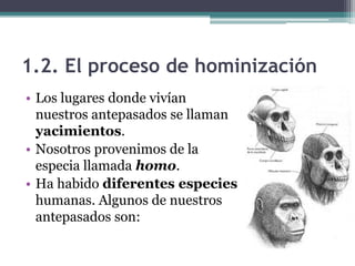 1.2. El proceso de hominización
• Los lugares donde vivían
  nuestros antepasados se llaman
  yacimientos.
• Nosotros prov...