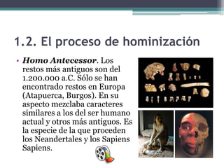 1.2. El proceso de hominización
• Homo Antecessor. Los
  restos más antiguos son del
  1.200.000 a.C. Sólo se han
  encont...