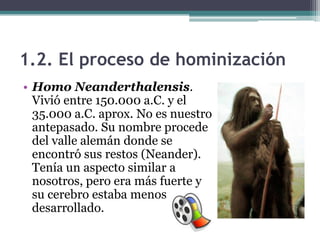 1.2. El proceso de hominización
• Homo Neanderthalensis.
  Vivió entre 150.000 a.C. y el
  35.000 a.C. aprox. No es nuestr...