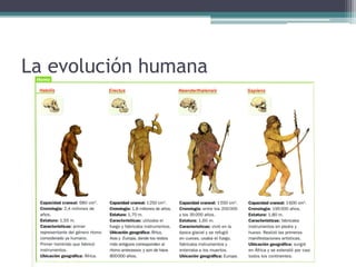 La evolución humana
 