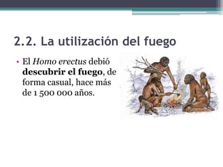 2.2. La utilización del fuego
• El Homo erectus debió
  descubrir el fuego, de
  forma casual, hace más
  de 1 500 000 año...