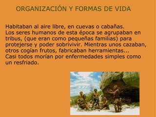 ORGANIZACIÓN Y FORMAS DE VIDA Habitaban al aire libre, en cuevas o cabañas. Los seres humanos de esta época se agrupaban en tribus, (que eran como pequeñas familias) para protejerse y poder sobrivivir. Mientras unos cazaban, otros cogían frutos, fabricaban herramientas... Casi todos morían por enfermedades simples como un resfriado.  