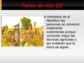 Descubrimientos de esta etapa El principal descubrimiento de esta etapa fue el fuego. Pero también otras muchas cosas más como el comercio. 