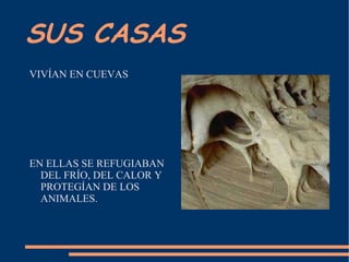 SUS CASAS VIVÍAN EN CUEVAS EN ELLAS SE REFUGIABAN DEL FRÍO, DEL CALOR Y PROTEGÍAN DE LOS ANIMALES.