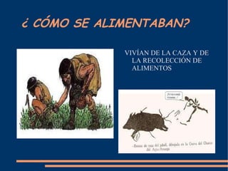 ¿ CÓMO SE ALIMENTABAN? VIVÍAN DE LA CAZA Y DE LA RECOLECCIÓN DE ALIMENTOS