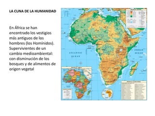 LA CUNA DE LA HUMANIDAD



En África se han
encontrado los vestigios
más antiguos de los
hombres (los Homínidos).
Supervivientes de un
cambio medioambiental:
con disminución de los
bosques y de alimentos de
origen vegetal
 