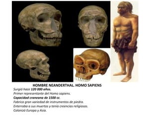 HOMBRE NEANDERTHAL. HOMO SAPIENS
Surgió hace 120 000 años.
Primer representante del Homo sapiens.
Capacidad craneana de 1500 cc.
Fabrica gran variedad de instrumentos de piedra.
Enterraba a sus muertos y tenía creencias religiosas.
Colonizó Europa y Asia.
 