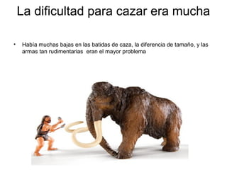 La dificultad para cazar era mucha

•   Había muchas bajas en las batidas de caza, la diferencia de tamaño, y las
    armas tan rudimentarias eran el mayor problema
 