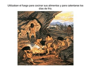 Utilizaban el fuego para cocinar sus alimentos y para calentarse los
                            días de frío.
 